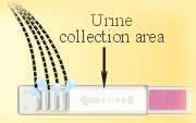 urine_collection